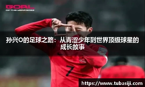 必一运动b-sports官网