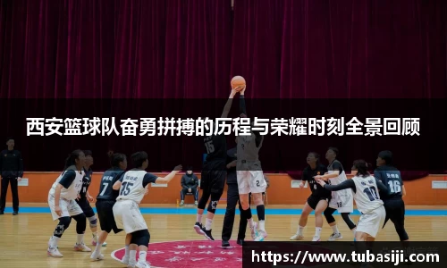 必一运动b-sports平台