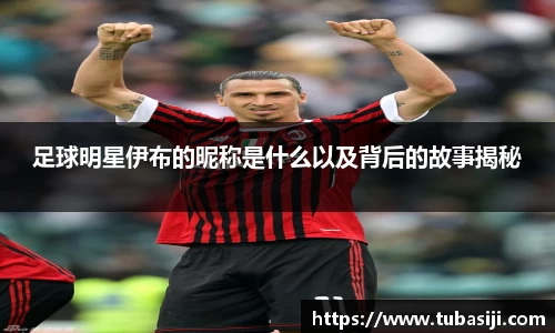 必一运动b-sports官网